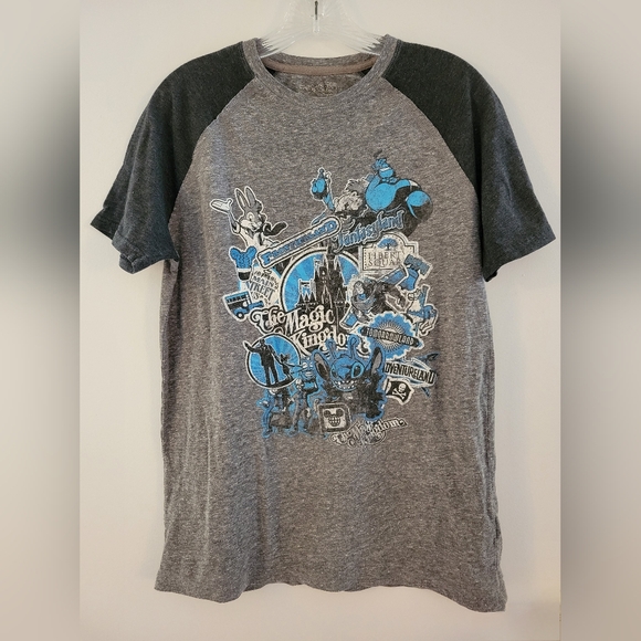 Size M 🏰 Tshirt Walt Disney World Magic Kingdom Attractions Splash Mountain - Picture 1 of 5